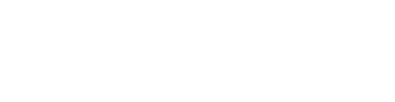 storia-museo-viola